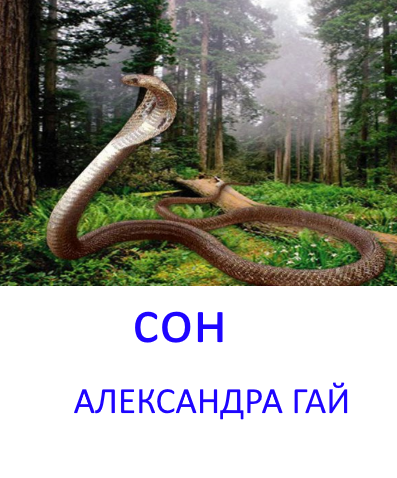 Обложка книги Сон