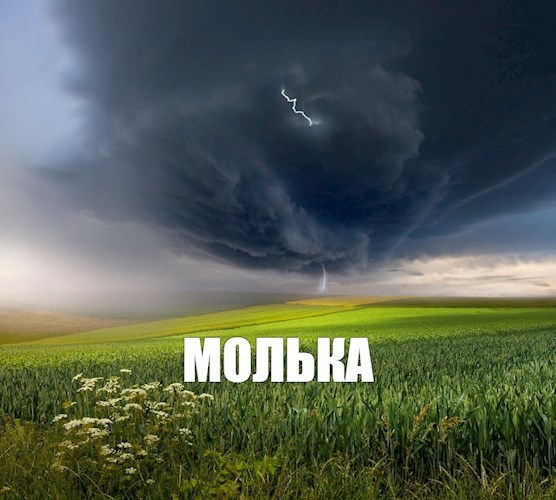 Обложка книги Молька