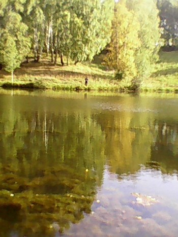 Обложка книги АЛАЛИС