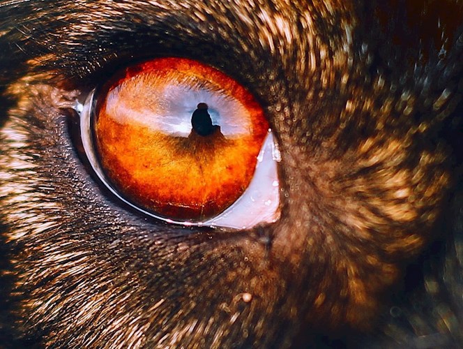 Обложка книги Временное пристанище