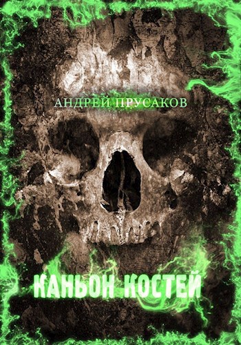 Обложка книги Каньон Костей