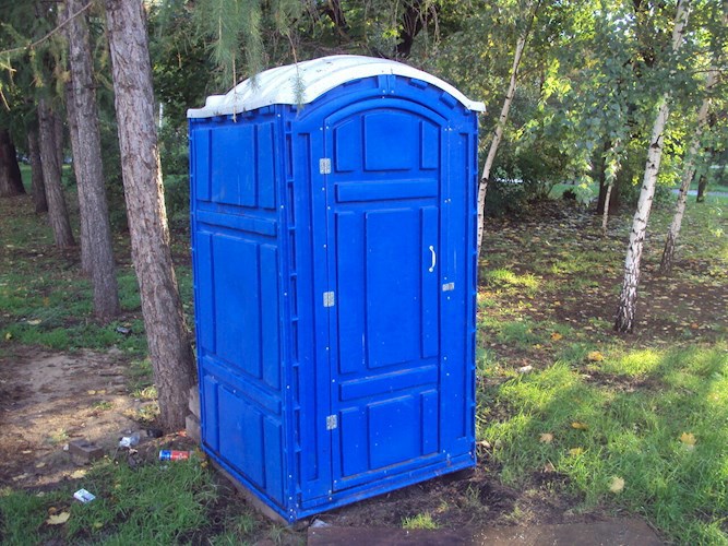 Обложка книги Сортирный Странник