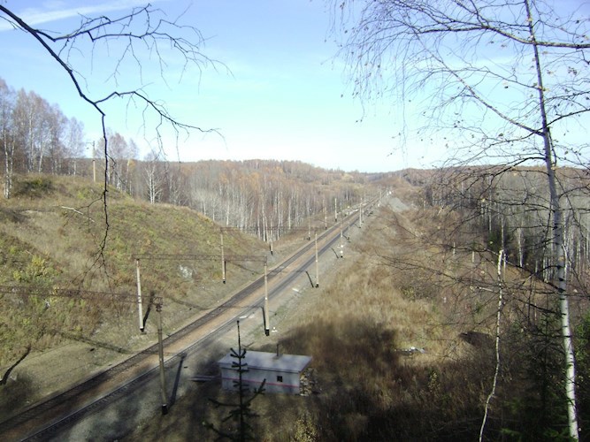Обложка книги Сны мои пахнут полынью.