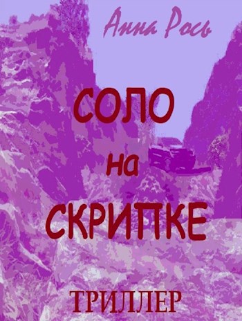 Обложка книги Соло на скрипке