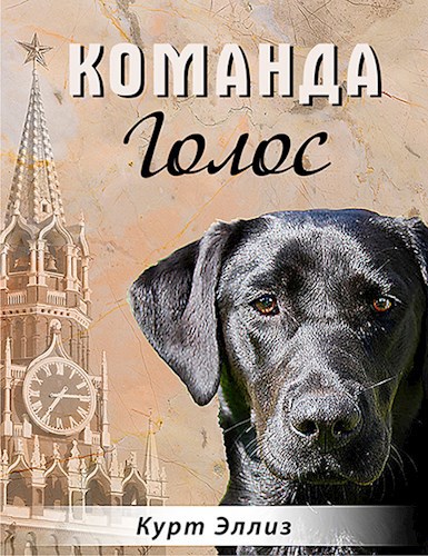 Обложка книги Команда Голос