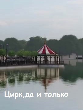 Обложка книги Цирк, да и только