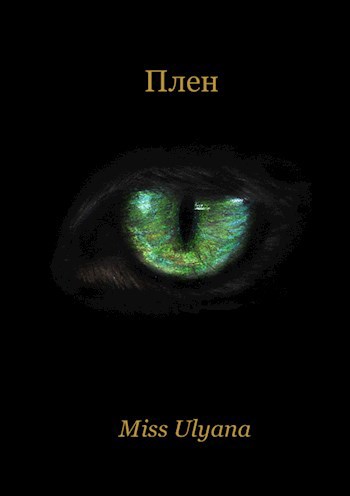 Обложка книги Плен