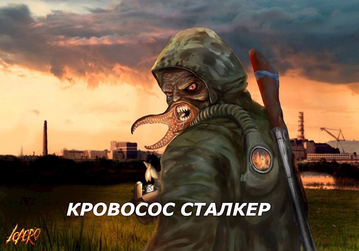 Обложка книги Кровосос сталкер