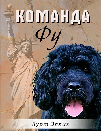 Обложка книги Команда Фу