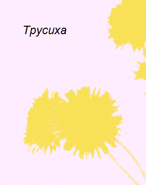 Обложка книги Трусиха