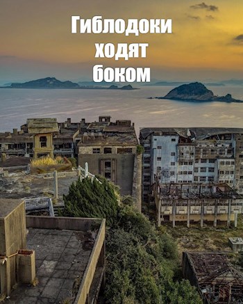 Обложка книги Гиблодоки ходят боком