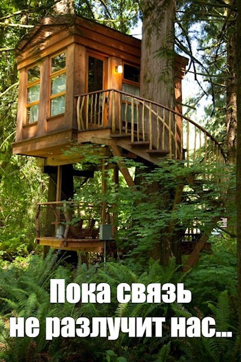 Обложка книги Пока связь не разлучит нас...