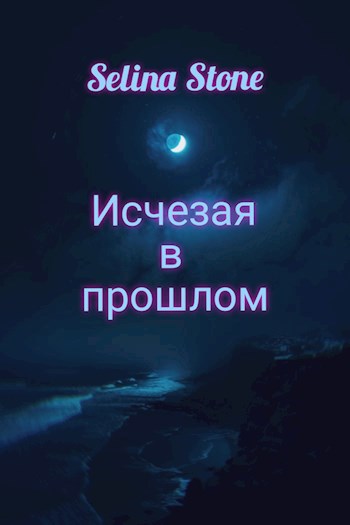 Обложка книги Исчезая в прошлом