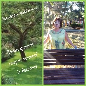 Обложка книги Усадебные хроники