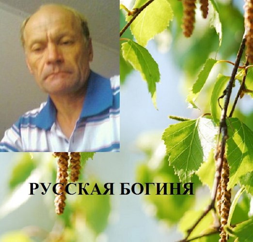 Обложка книги Русская богиня