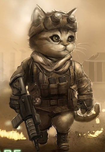 Обложка книги Кот сталкер