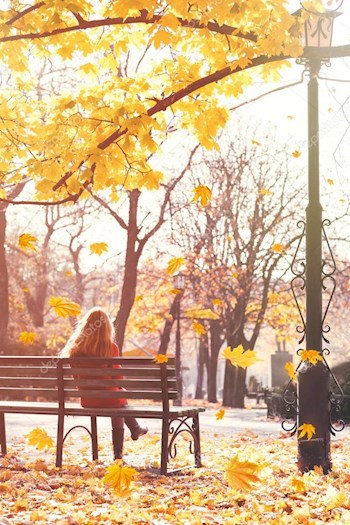 Обложка книги Последний день осени