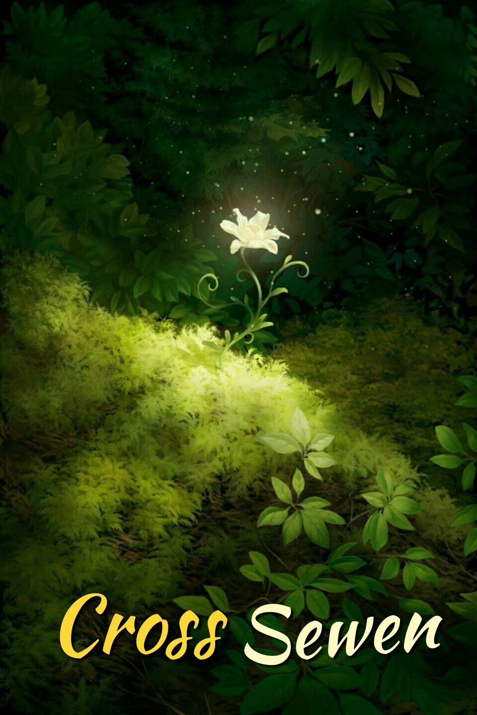 Обложка книги Cross Sewen
