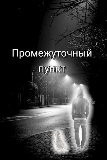 Обложка книги Промежуточный пункт