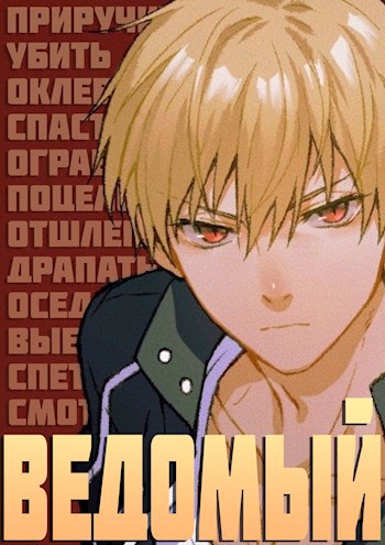 Обложка книги Ведомый