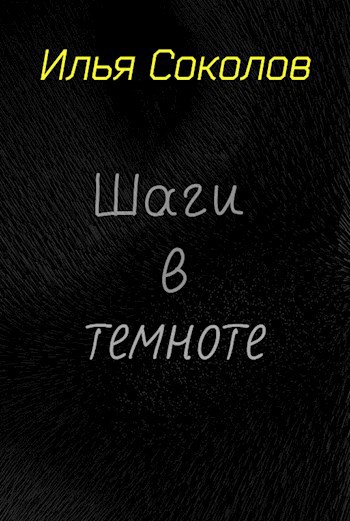 Обложка книги Шаги в темноте