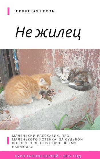 Обложка книги Не жилец.