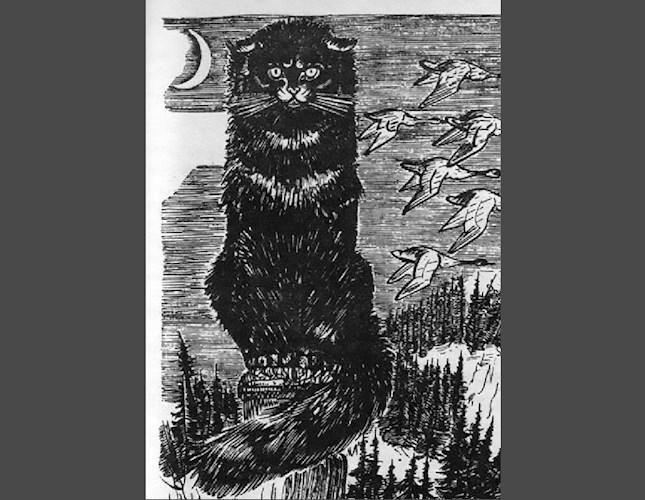 Обложка книги Чернобыльский Кот