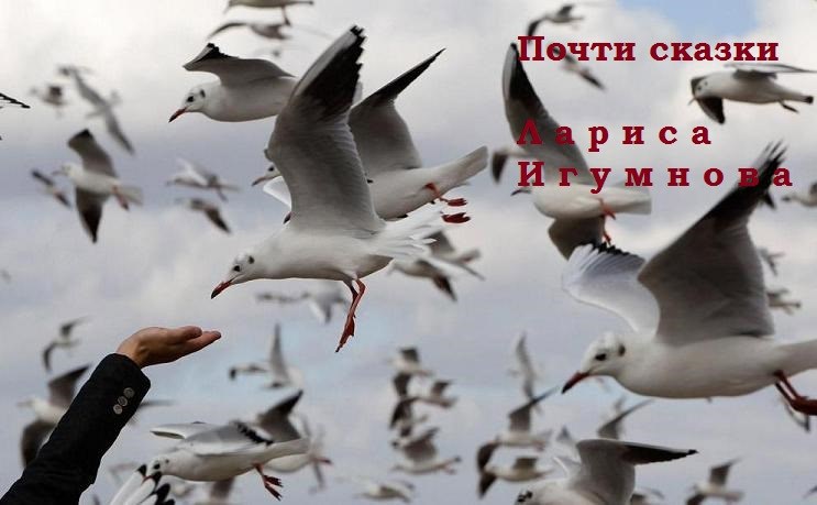Обложка книги Почти сказки