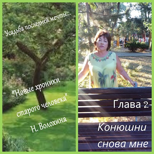 Обложка книги Усадебные хроники. Продолжение. Гл. 2