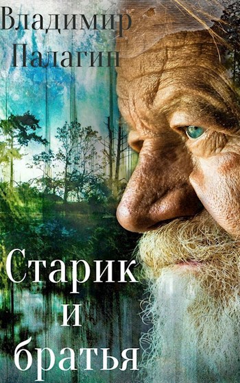 Обложка книги Старик и братья