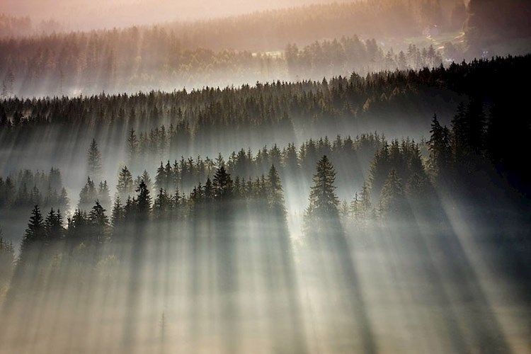 Обложка книги Йоль