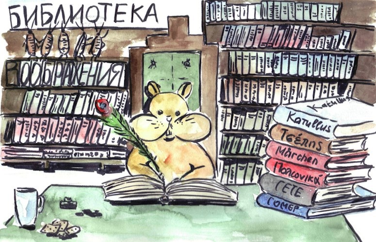 Обложка книги Хомяк и Библиотека Воображения