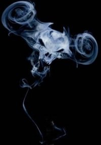 Обложка книги Всадник Ночи