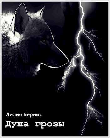 Обложка книги Душа грозы