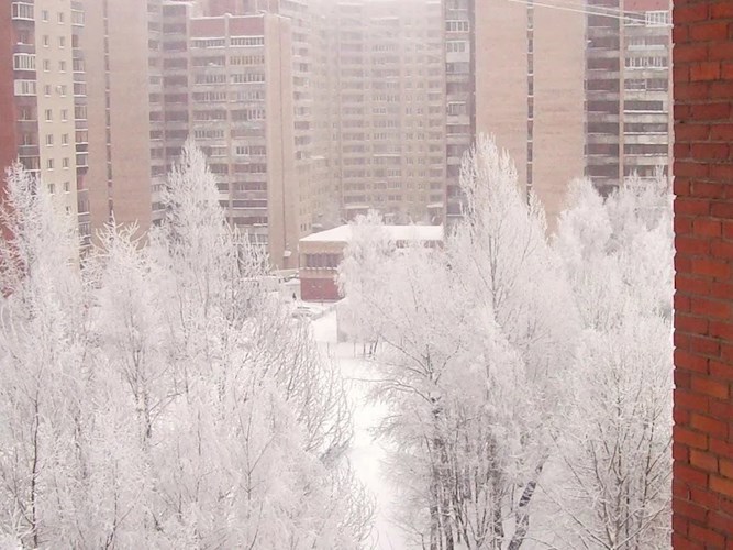 Обложка книги Дети зимней стужи