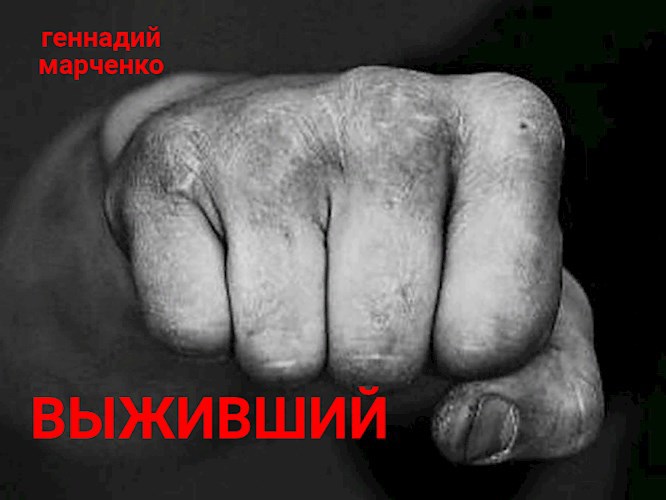 Обложка книги Выживший Том IV