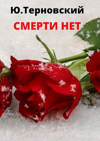 Обложка книги Смерти нет