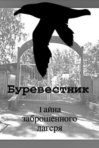 Обложка книги Буревестник