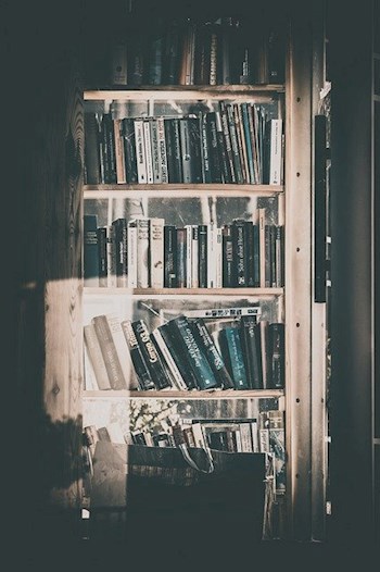Обложка книги Первые сказки
