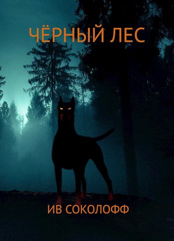 Обложка книги Черный Лес