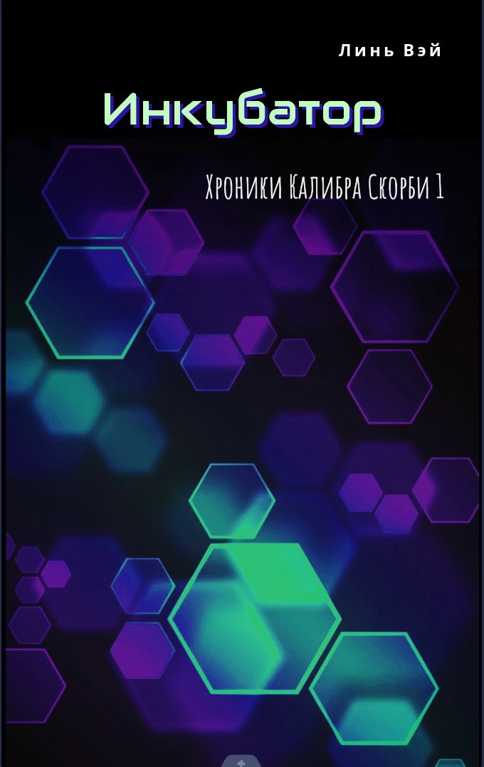 Обложка книги Инкубатор