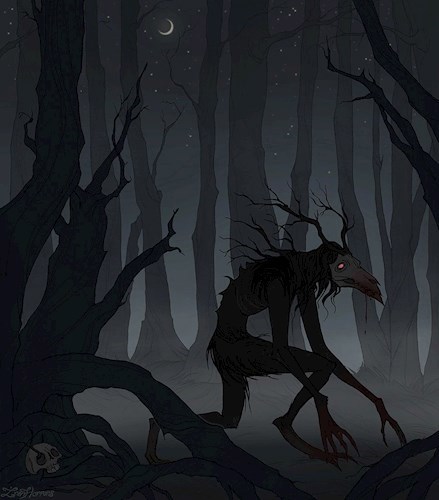 Обложка книги Прогулка