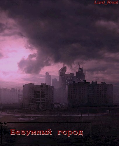 Обложка книги Безумный город