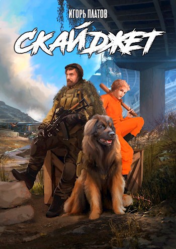 Обложка книги Скайджет