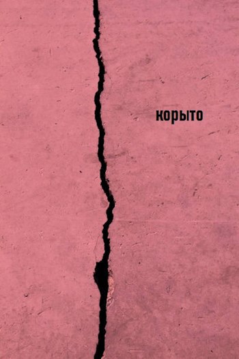 Обложка книги Корыто