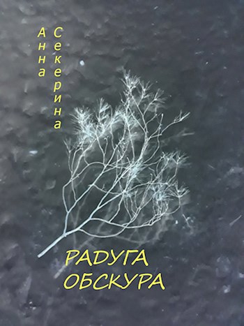 Обложка книги Радуга обскура