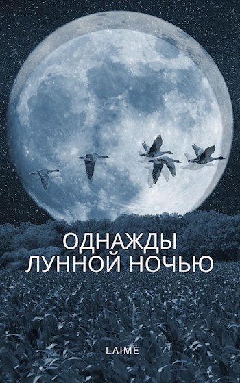 Обложка книги Однажды лунной ночью