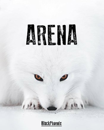 Обложка книги «ARENA»