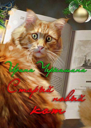 Обложка книги Старый Новый кот