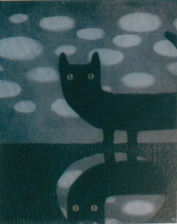 Обложка книги Кот из лужи
